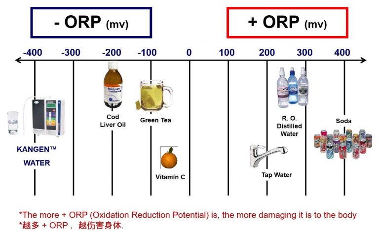 what-is-kangen-water-johor1